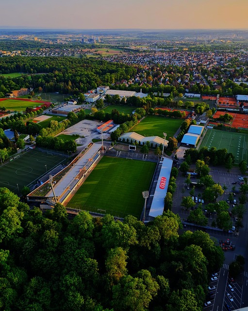 将有助于实 将有助于实