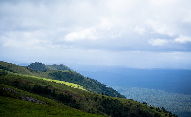 财力和影响 财力和影响