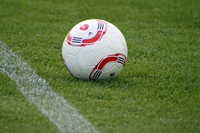 审视并适时 审视并适时