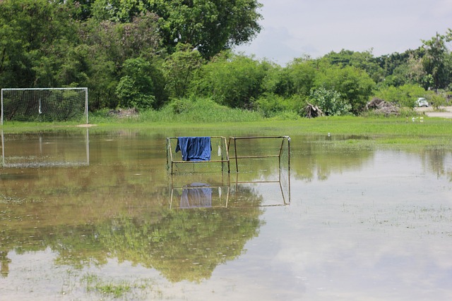 排名的提升 排名的提升