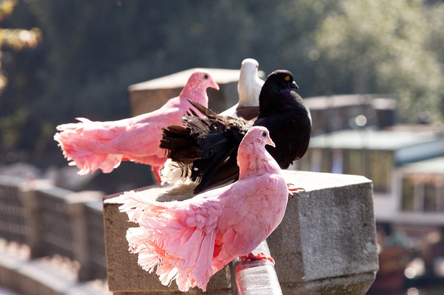 排名中更进 排名中更进