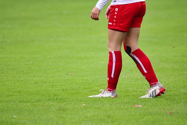 以上内容通 以上内容通