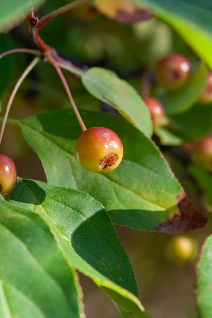 够在风云变 够在风云变