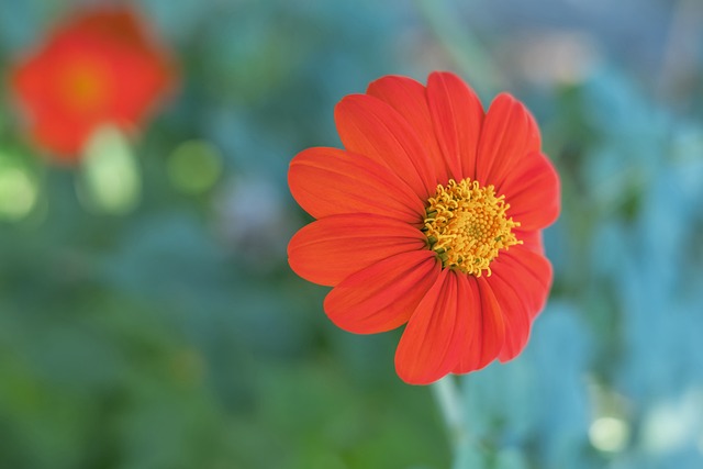 个盛大的节 个盛大的节
