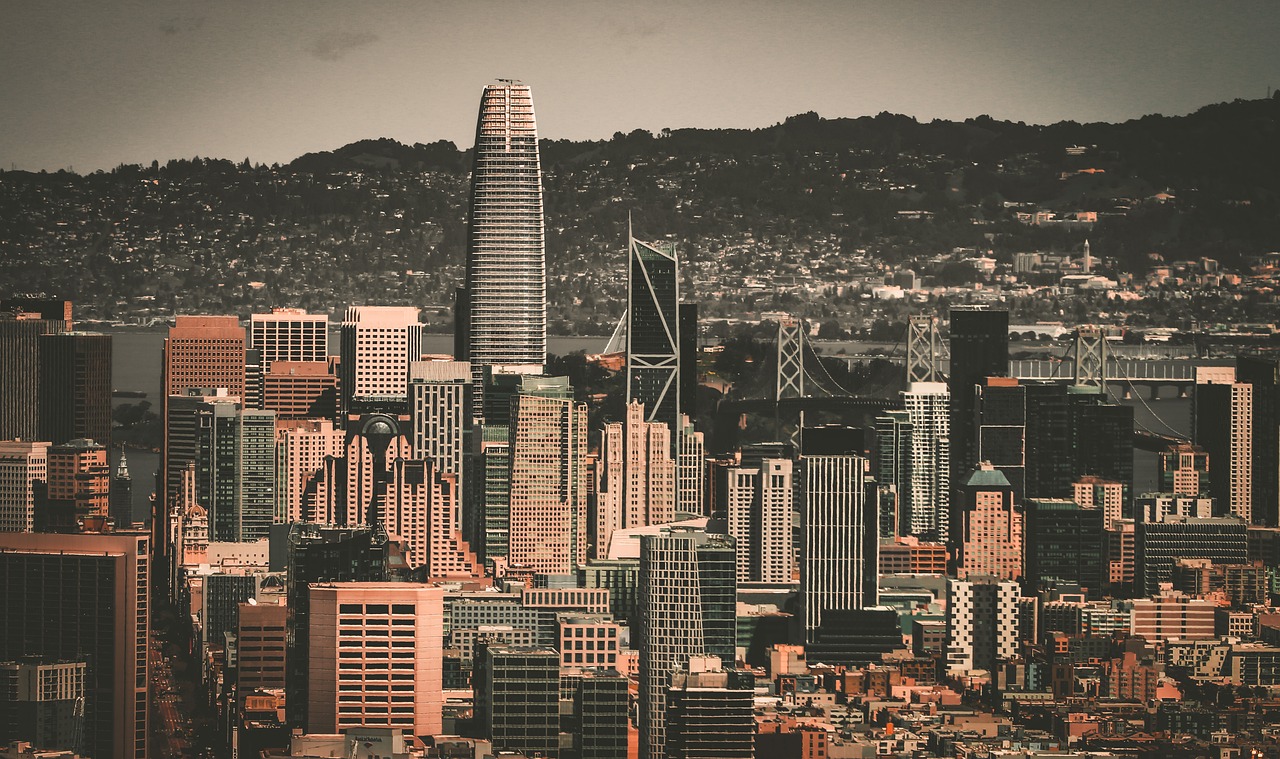 的未来去向 的未来去向